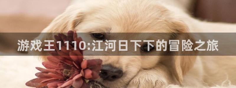 极悦娱乐官方平台：游戏王1110:江河日下下的冒险之旅