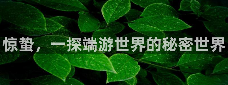 极悦娱乐网页版地址：惊蛰，一探端游世界的秘密世界