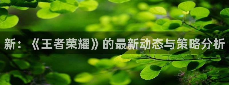 极悦娱乐平台负责人