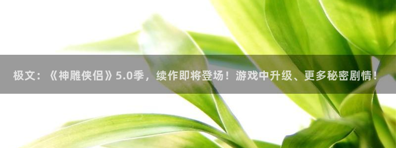 极悦娱乐官网登录：极文：《神雕侠侣》5.0季，续作即将登场！