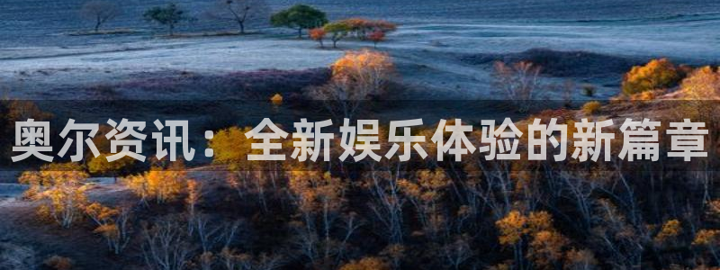 极悦娱乐游戏：奥尔资讯：全新娱乐体验的新篇章